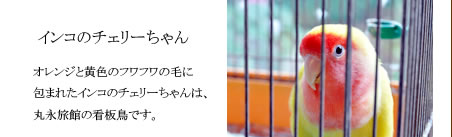 CR̃`F[