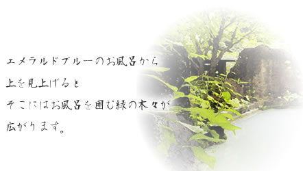 Ghu[̂CグƂɂ͂C͂ޗ΂̖؁XL܂